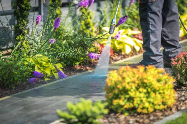 Best Animal Enclosure Cleaning  in Oakdale, MN